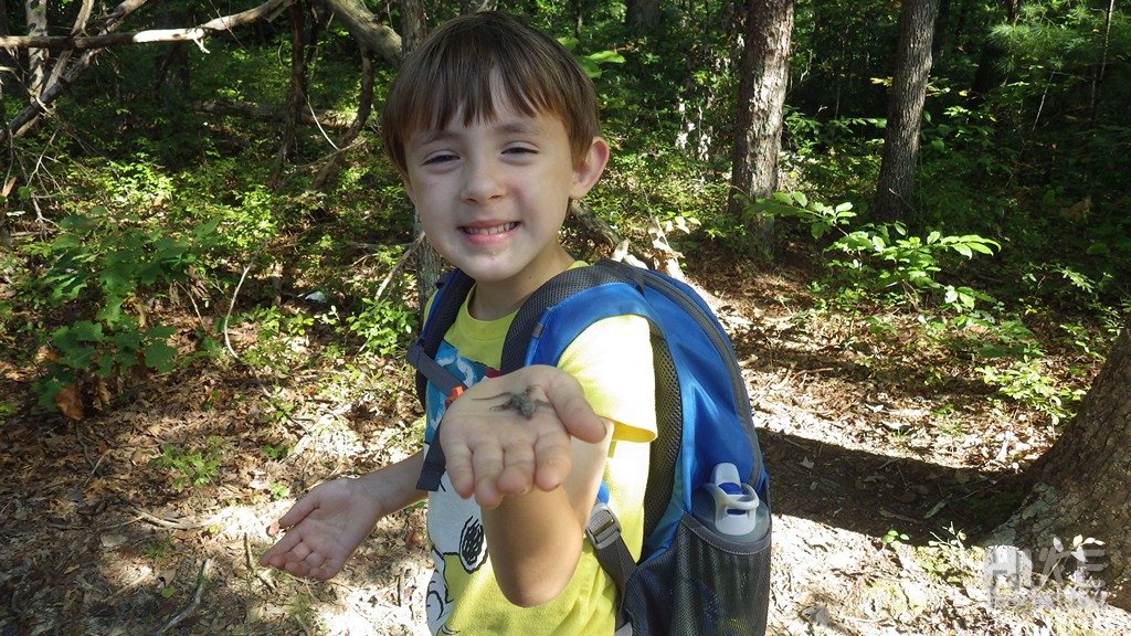 Boy holding young eastern fence lizard