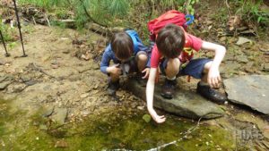 boys catching tadpoles in a puddle