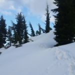 Near Mt. Rose, NV