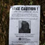 Hoax warning posted on a few of the trees near Corner Ridge, in the Red River Gorge, KY