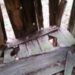 Old outhouse at old homestead site, at Red River Gorge, KY