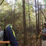 Along the John Muir Trail, in the Big South Fork National Recreation Area, TN