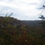Along the John Muir Trail, in the Big South Fork National Recreation Area, TN