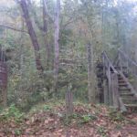 John Muir Trail, in the Big South Fork National Recreation Area, TN