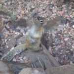 North Kaibab Trail, Grand Canyon National Park