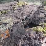 Colorful lichens in the Grand Canyon National Park