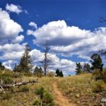South Deer Mountain Trail, Rocky Mountain National Park