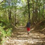 River-to-River Trail, IL