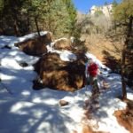 North Kaibab Trail, Grand Canyon National Park