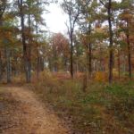 North-South Trail, Land Between the Lakes National Recreation Area