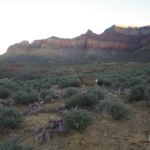 Large deer near Indian Garden, Grand Canyon National Park, AZ